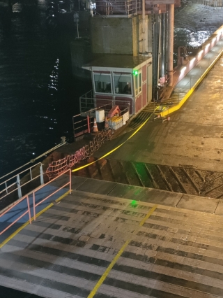 PIGS (Passenger Integrated Guidance Systems) 33